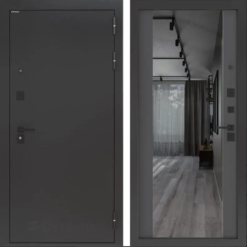 Дверь BN-01.1 DIS006812